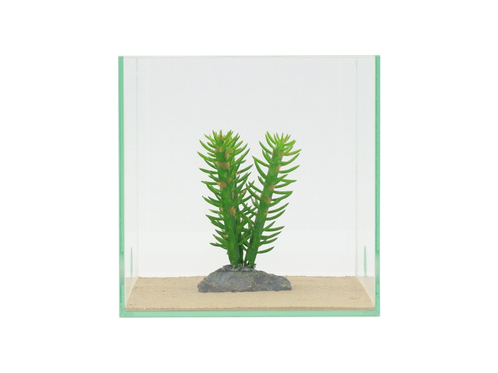 Cactus 3 fold - 14cm